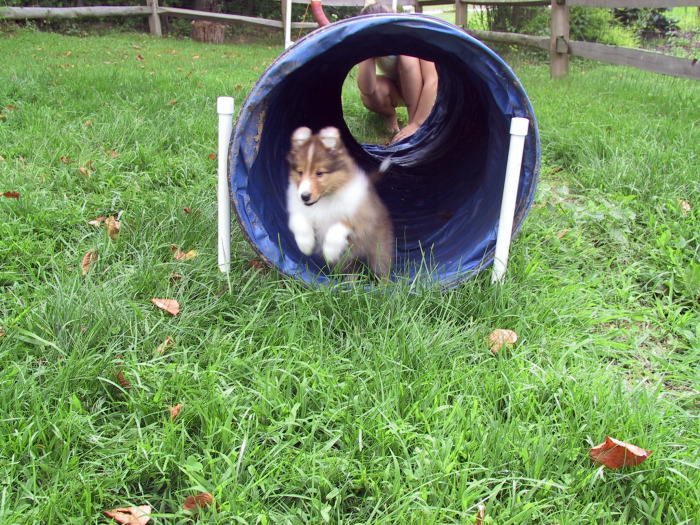 Robbie's first tunnel