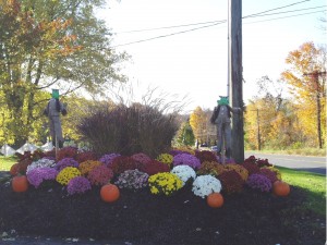 2009FallColors Mums