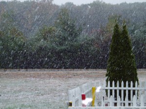 second snow fall this week!