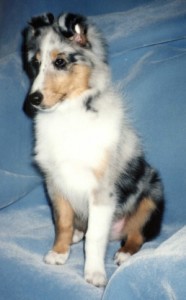 Stormy at 14wks