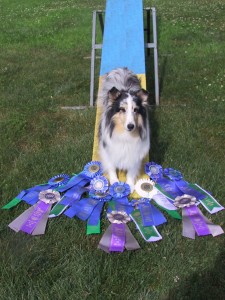 Bitti and her Novice Ribbons