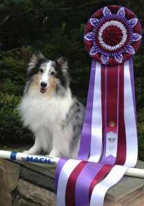 MACH Bitti and her brand new MACH bar and ribbon!!